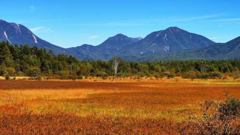 小田代原（栃木県）