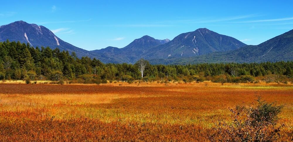 小田代原（栃木県）