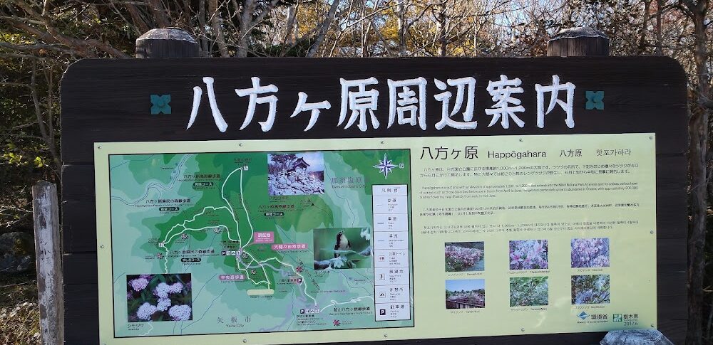 八方ヶ原（栃木県矢板市）