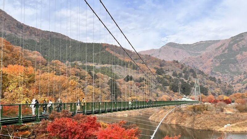 もみじ谷大吊橋（栃木県）