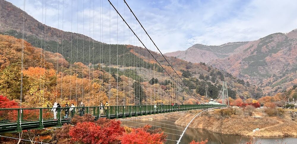 もみじ谷大吊橋（栃木県）