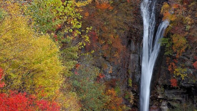 駒止の滝（栃木県）