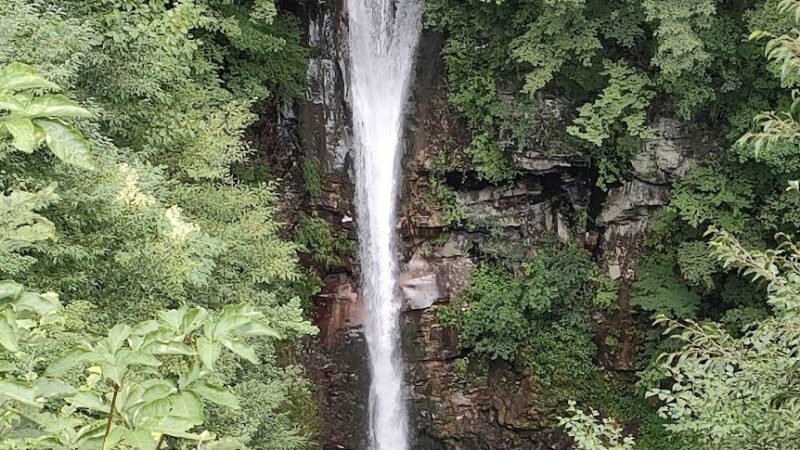 那須平成の森（栃木県）