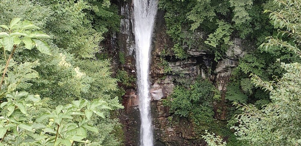 那須平成の森（栃木県）