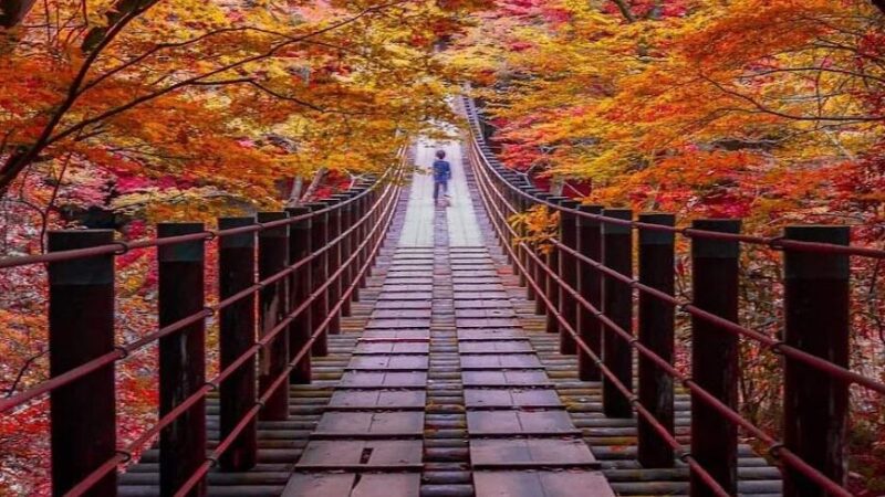 花貫渓谷（茨城県）