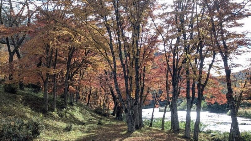 奥久慈渓谷（茨城県）