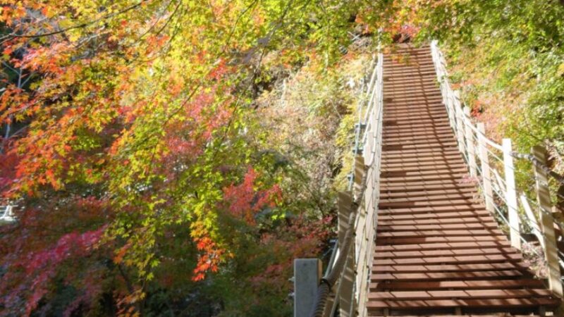 芦川渓谷（山梨県）