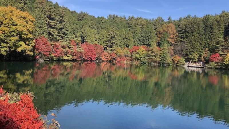南伊奈ヶ湖周辺（山梨県）