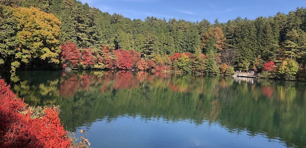 南伊奈ヶ湖周辺（山梨県）