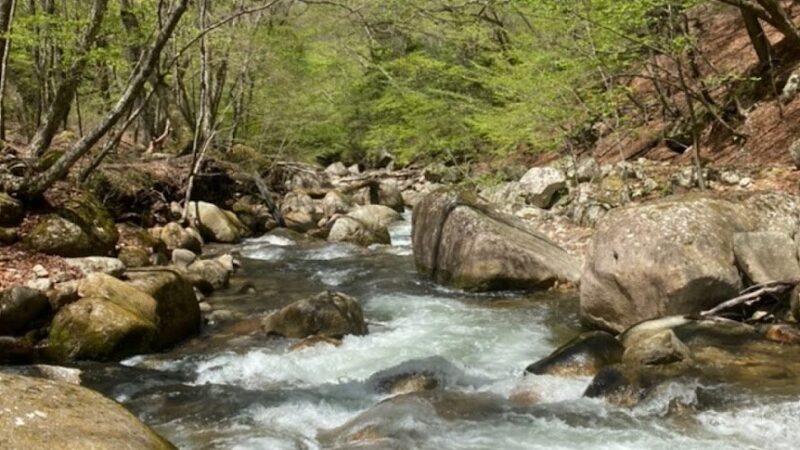 瑞牆山・本谷川渓谷（山梨県）