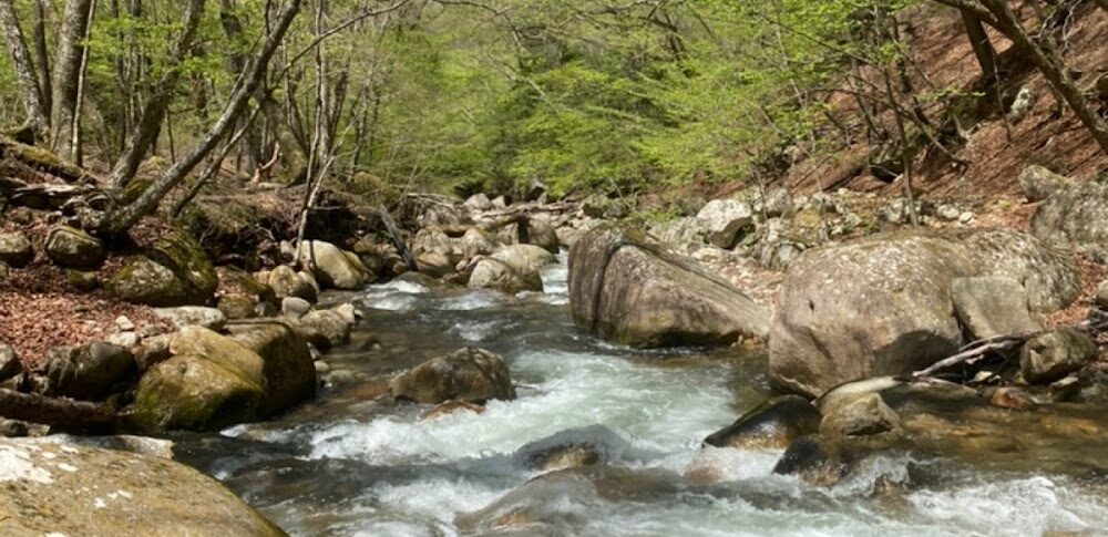 瑞牆山・本谷川渓谷（山梨県）