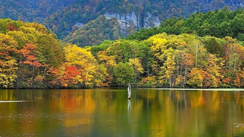 戸隠高原鏡池（長野県）