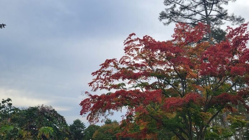 飯綱高原（長野県）