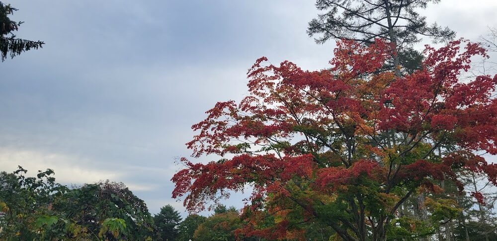 飯綱高原（長野県）