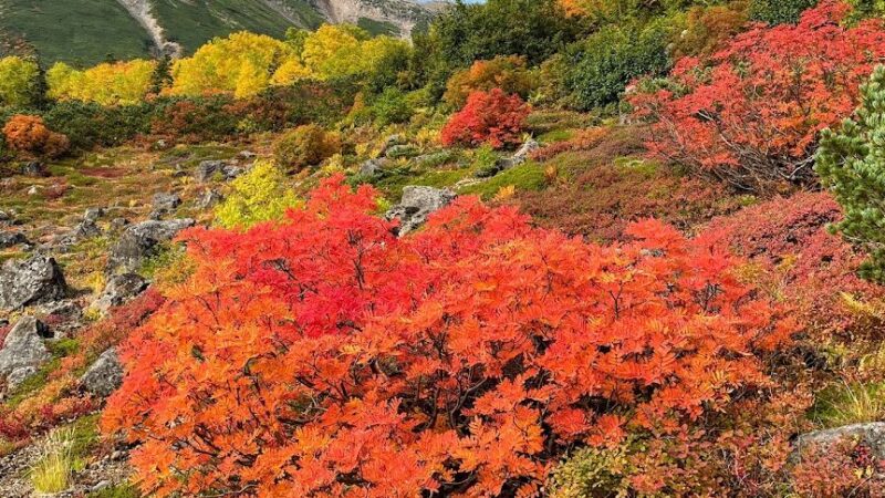 乗鞍高原（長野県）