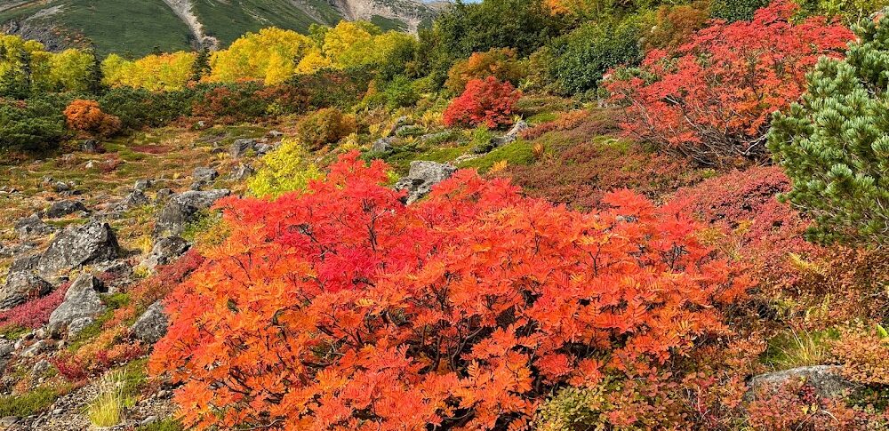 乗鞍高原（長野県）