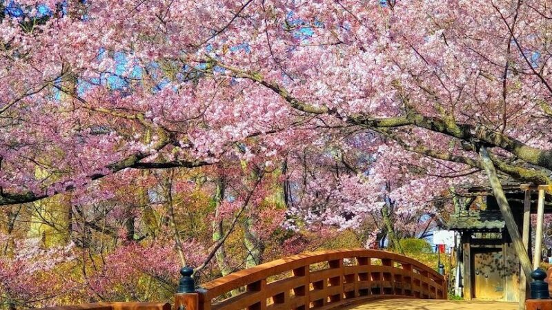 高遠城址公園（長野県）