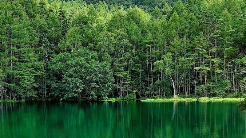 御射鹿池（長野県）