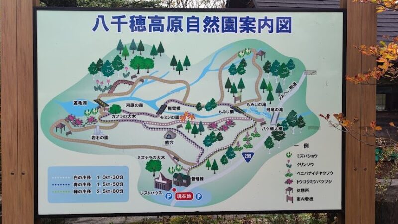 八千穂高原自然園