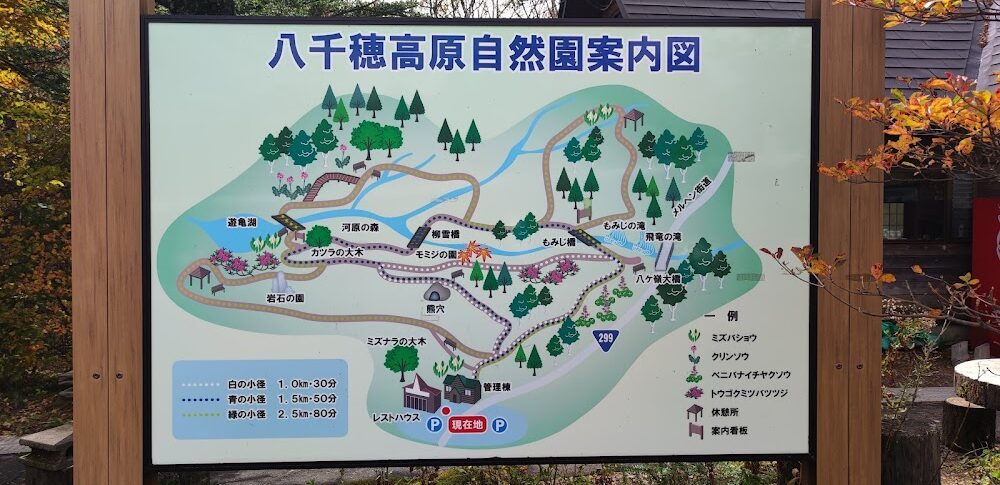 야치호 고원 자연원
