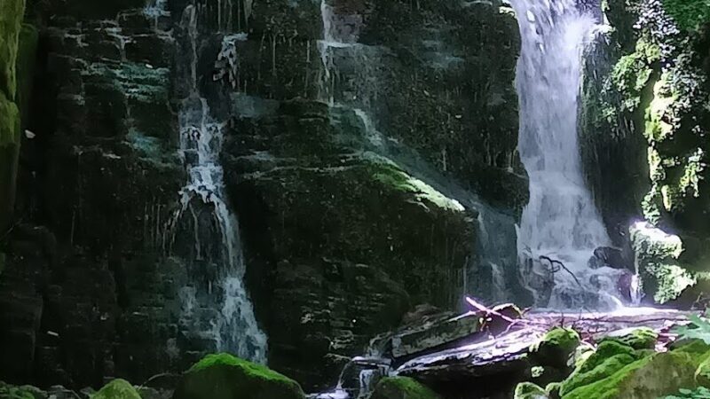 御泉水自然園