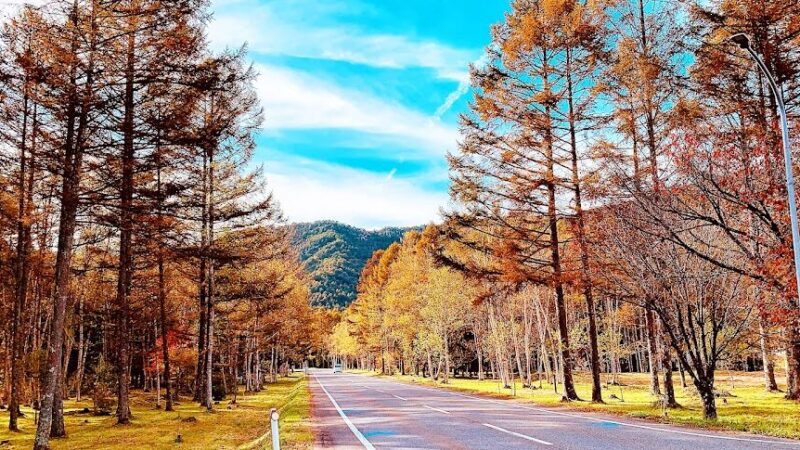 開田高原（長野県）