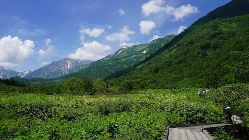 栂池自然園（長野県）
