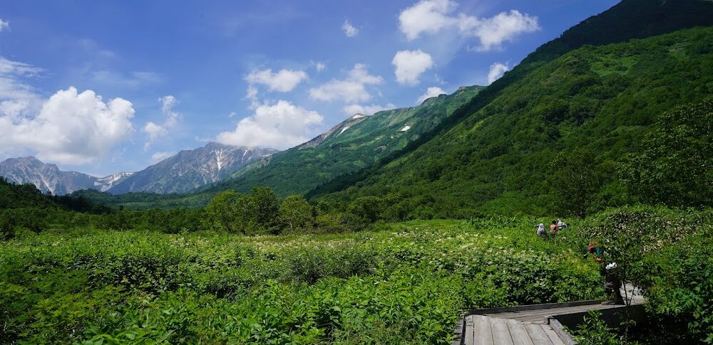 栂池自然園（長野県）