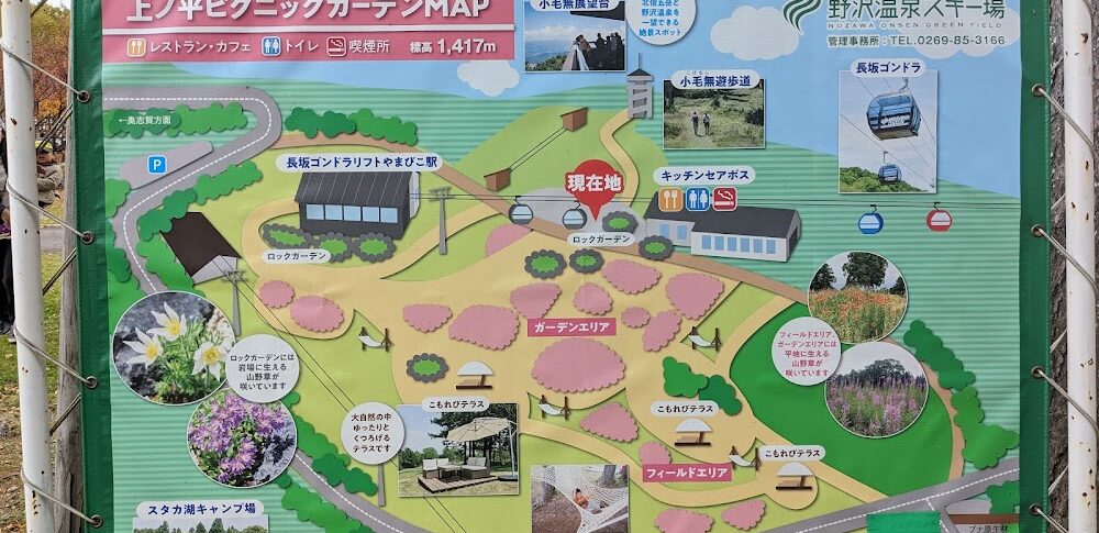 野沢温泉 上ノ平ピクニックガーデン
