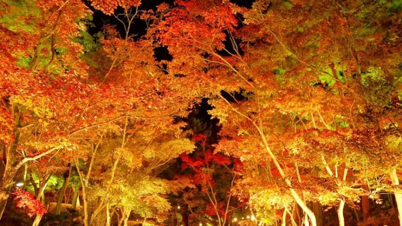 松雲山荘（新潟県柏崎市）