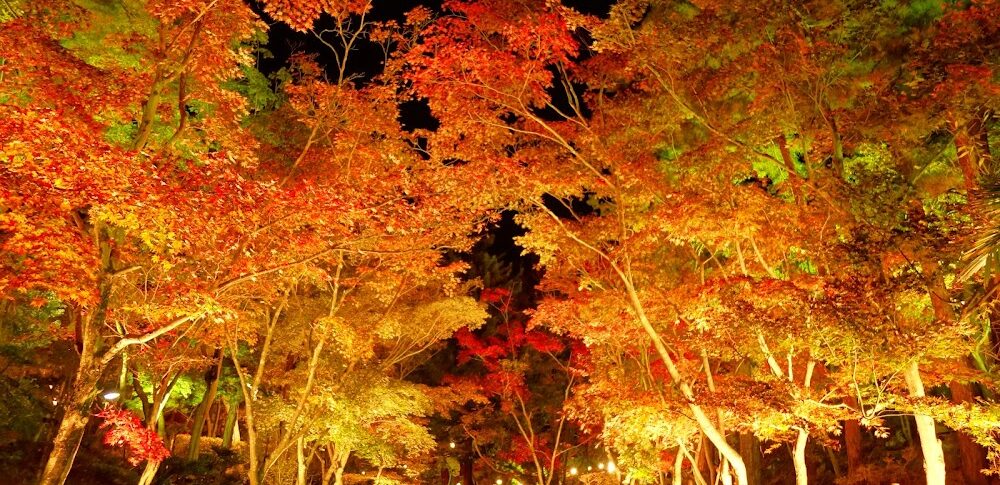 松雲山荘（新潟県柏崎市）