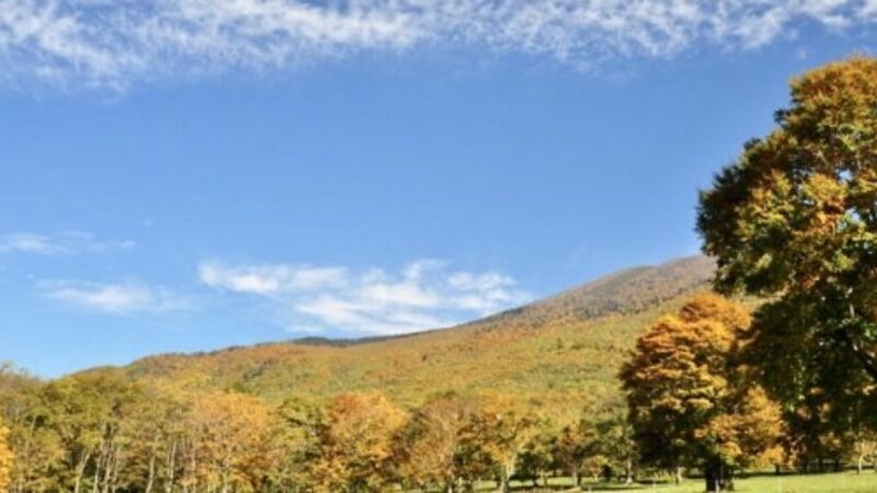 笹ヶ峰高原（新潟県）