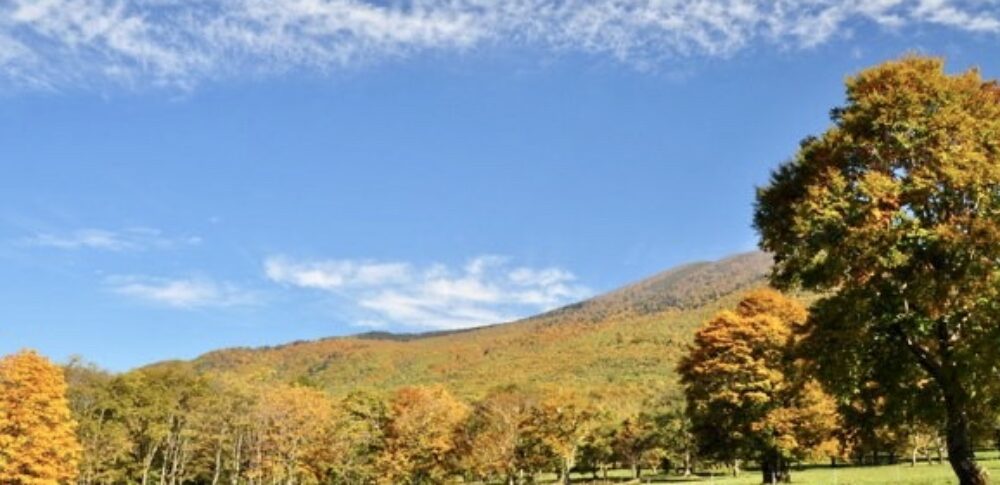 笹ヶ峰高原（新潟県）