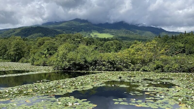 妙高高原・いもり池（新潟県）