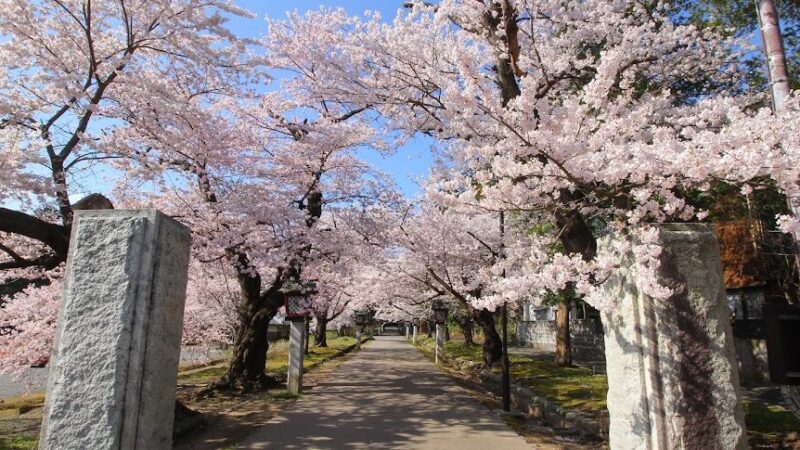 弥彦公園・もみじ谷（新潟県）