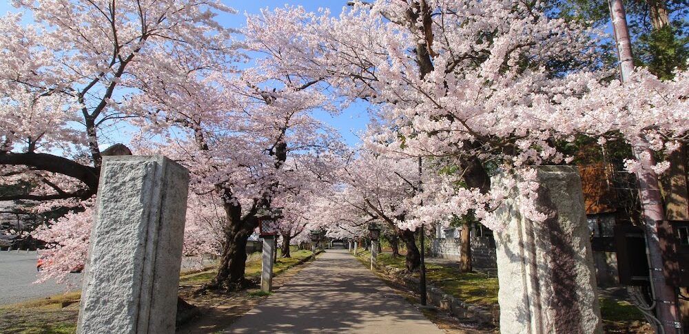 弥彦公園・もみじ谷（新潟県）