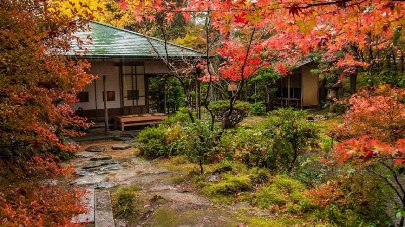 西田家庭園 玉泉園（石川県）