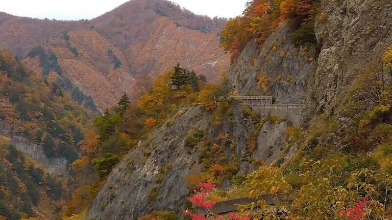 白山白川郷ホワイトロード（石川県）