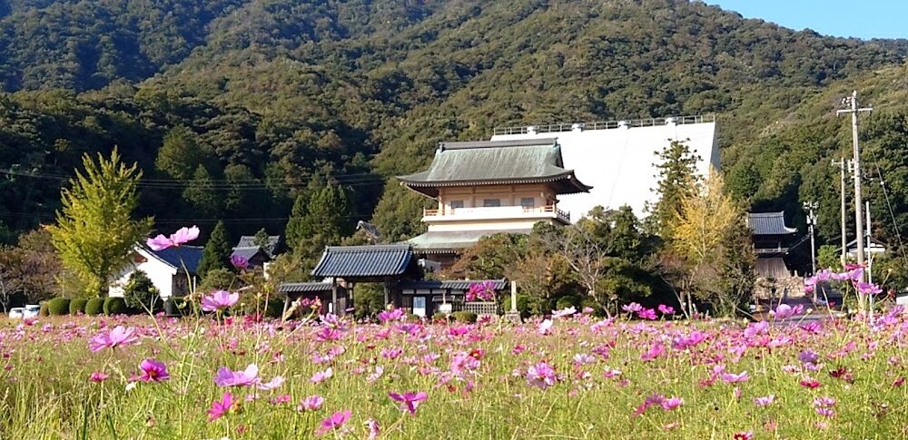大原山・西福寺（福井県敦賀市）