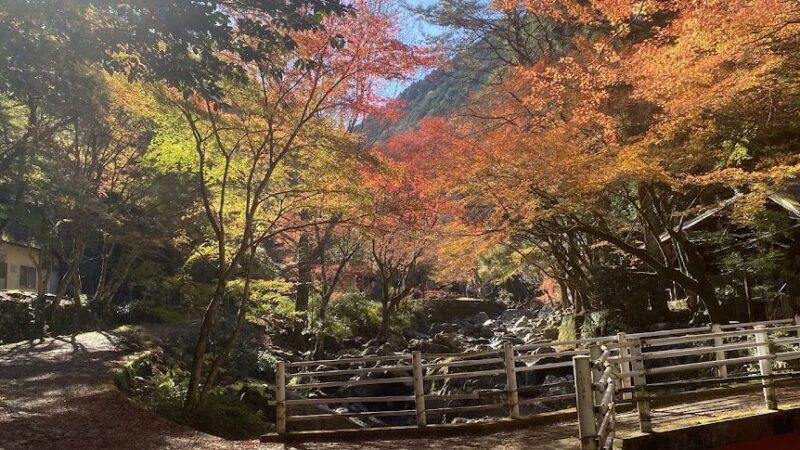 くらがり渓谷（愛知県）