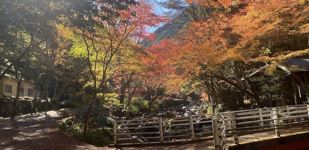 구라가리 계곡（아이치현）
