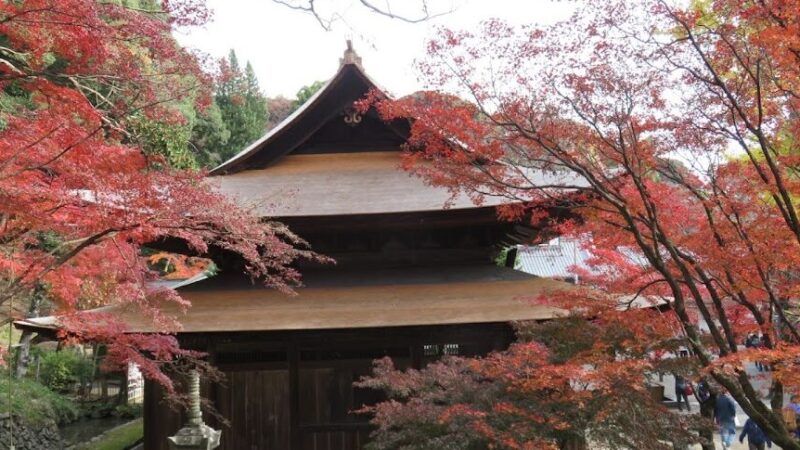 定光寺・定光寺公園（愛知県瀬戸市）