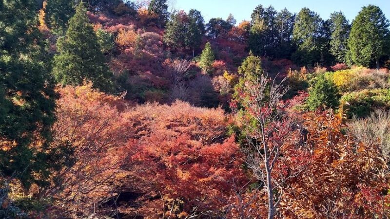 宮路山（愛知県）
