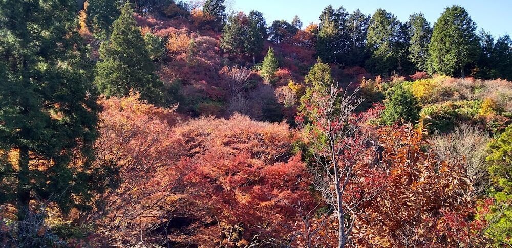 미야지산（아이치현）