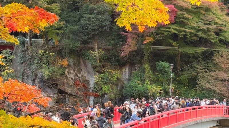 香嵐渓（愛知県）