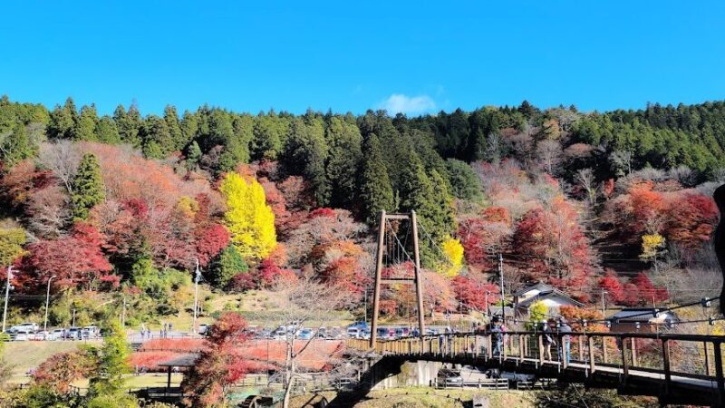大井平公園（愛知県）