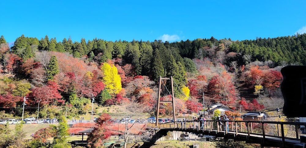 大井平公園（愛知県）