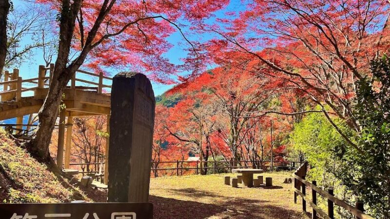 笹戸公園（愛知県豊田市）