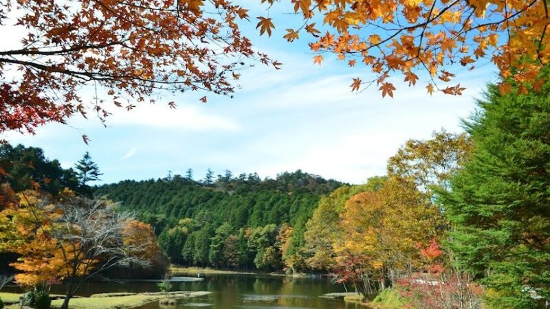 段戸裏谷原生林 きららの森（愛知県）
