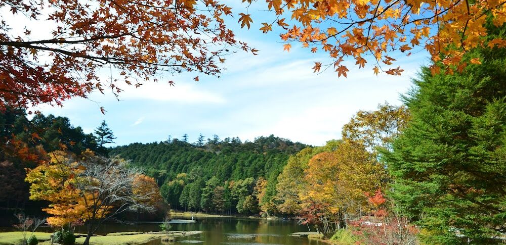 段戸裏谷原生林 きららの森（愛知県）